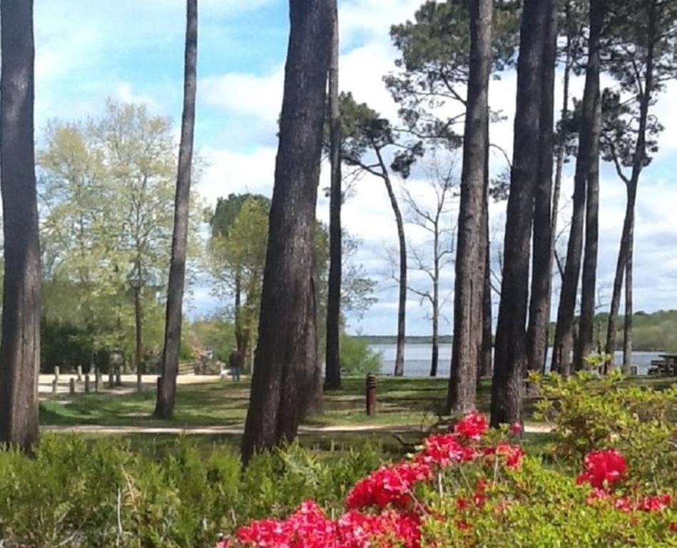 Hotel Au Bon Coin Du Lac 미미장플라즈 외부 사진
